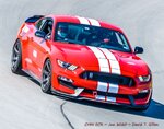 Joe's 2020 Shelby GT350.jpg