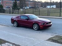 First stang