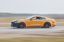 2019 Ecoboost Mustang