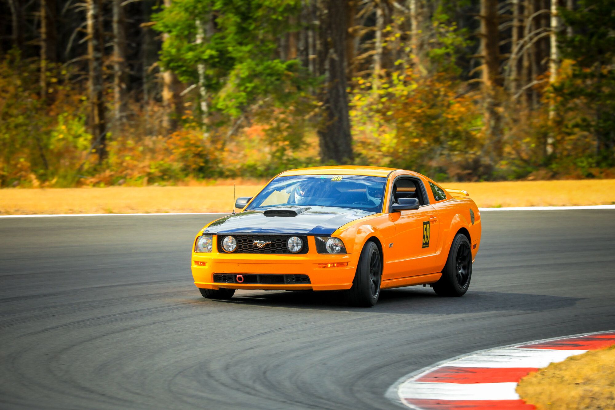 2007 Mustang
GT_46L HPDE/Track -  (2007 Mustang GT)