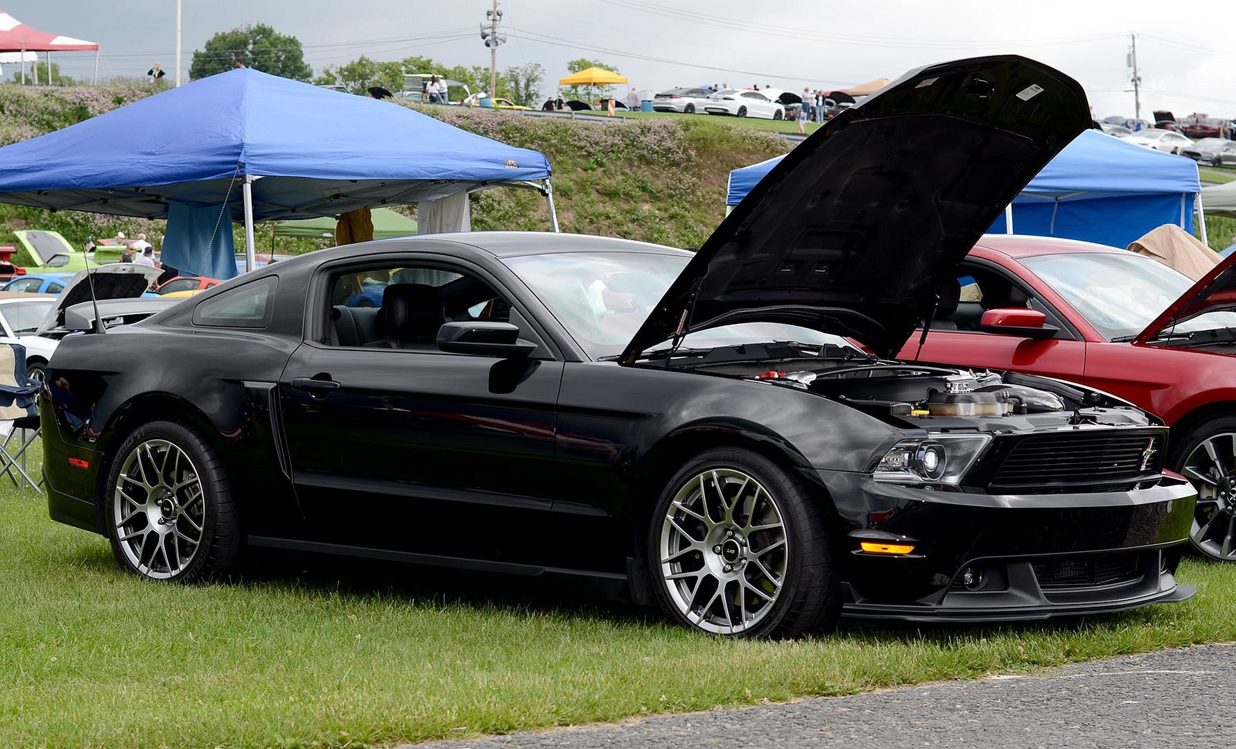 2012 Mustang
GT_50L  (2012 Mustang GT/CS)