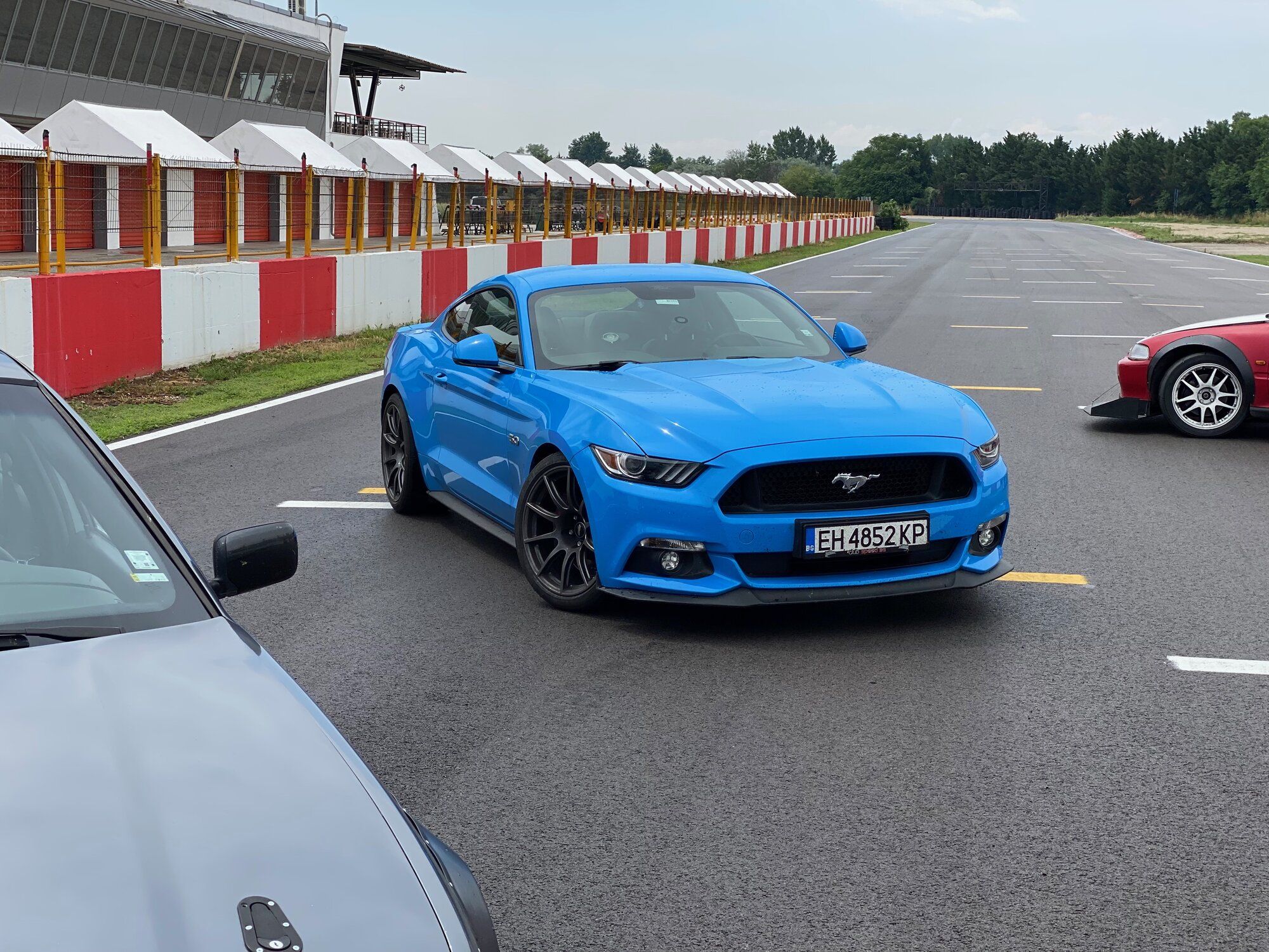 2017 Mustang
GT HPDE/Track -  (2017 Grabber Blue Mustang GT)