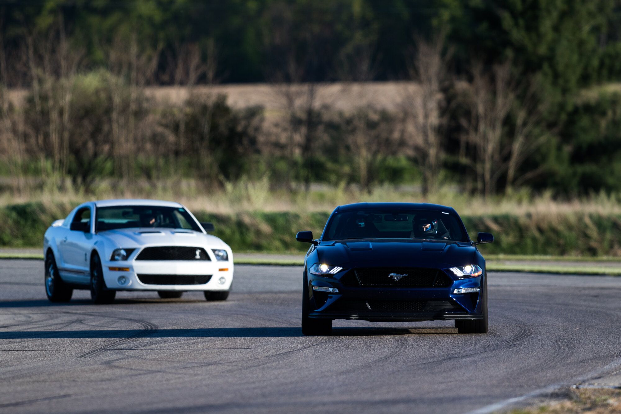 2019 Mustang
GT HPDE/Track -  (2019 Kona GT PP2)