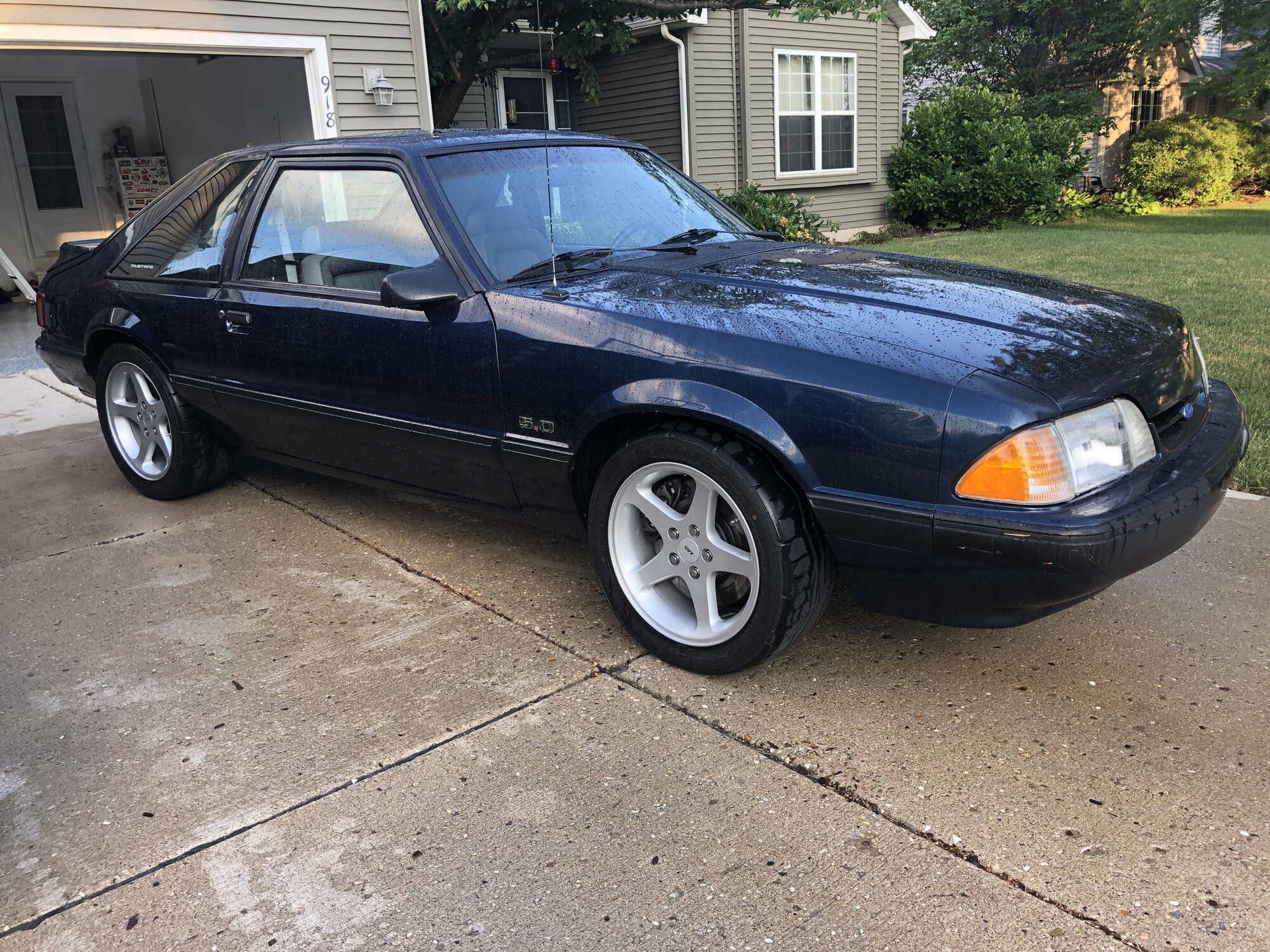 1991 Mustang
(5.0 Fox)