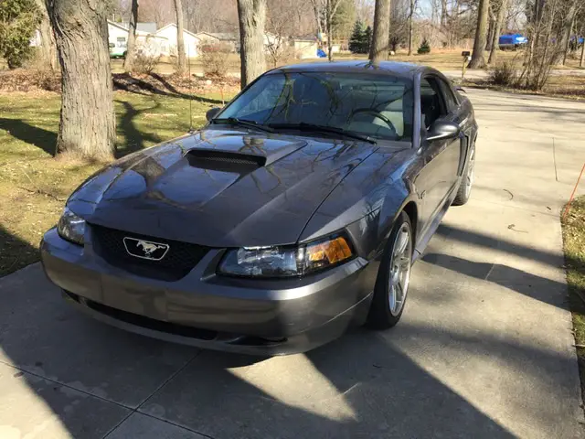 2003 Mustang
HPDE/Track -  (DSG New Edge-blown 4.6 to Coyote!)
