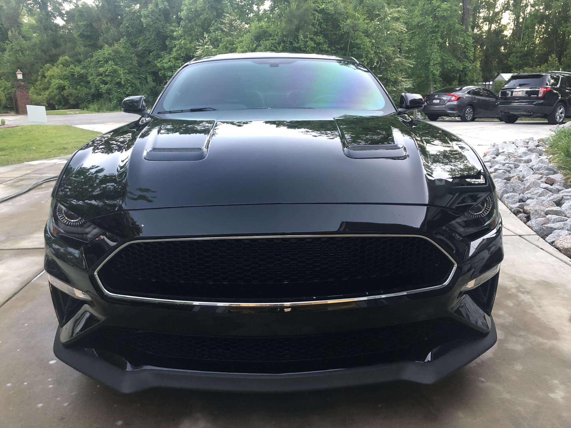 2019 Mustang
GT  (Dvic Stang)