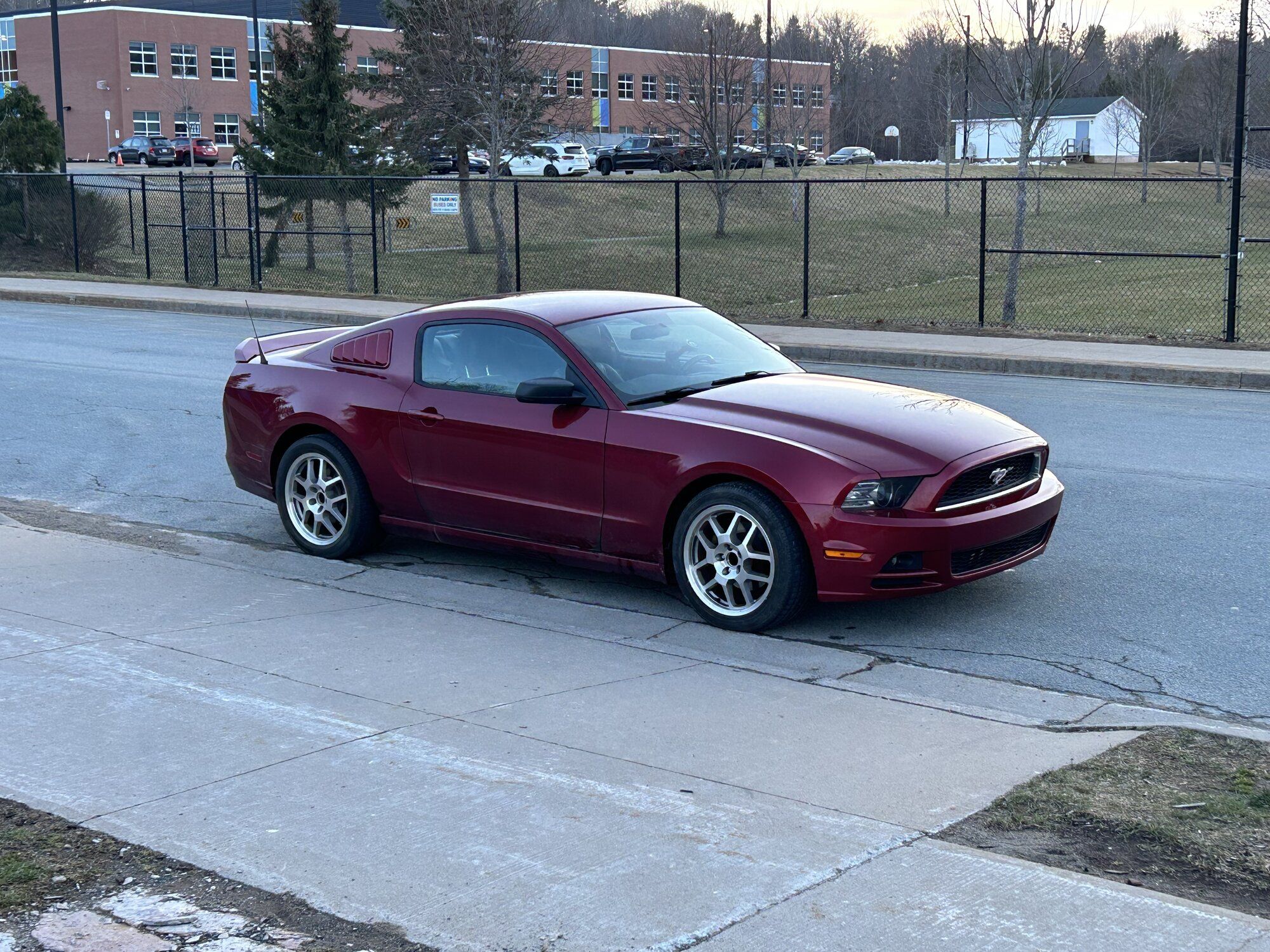 2014 Mustang
V6 HPDE/Track -  (First stang)