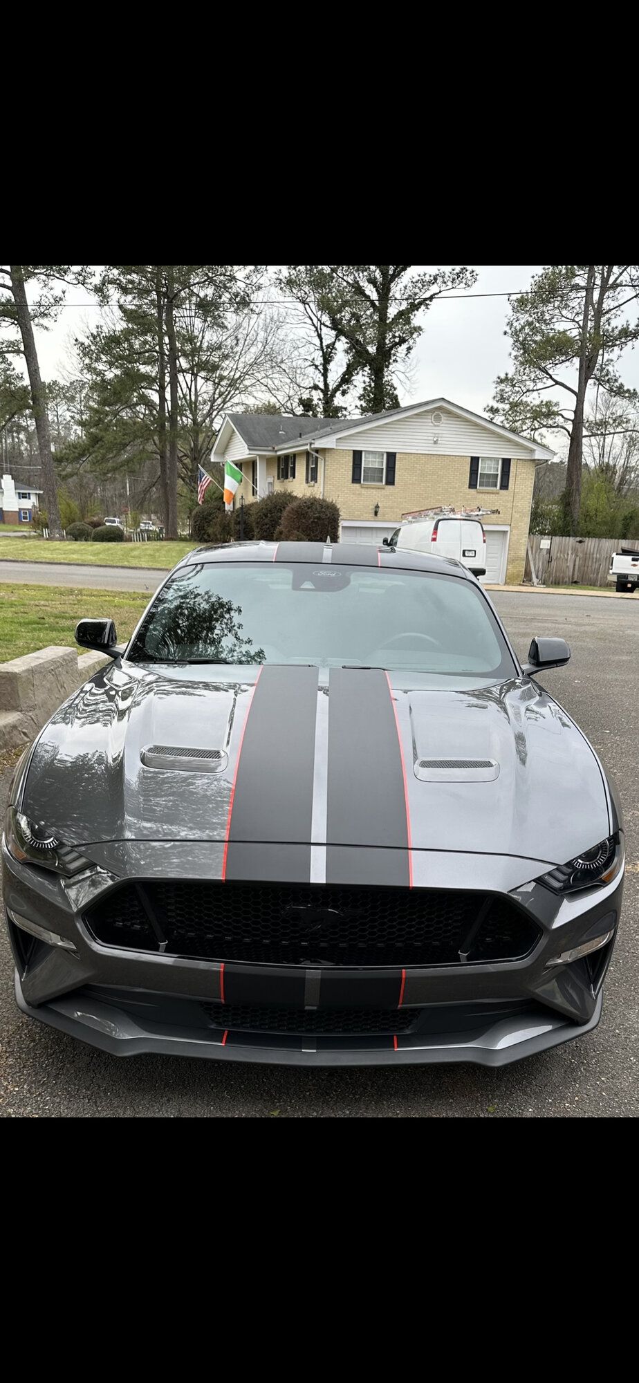 2021 Mustang
GT  (Gray stang)