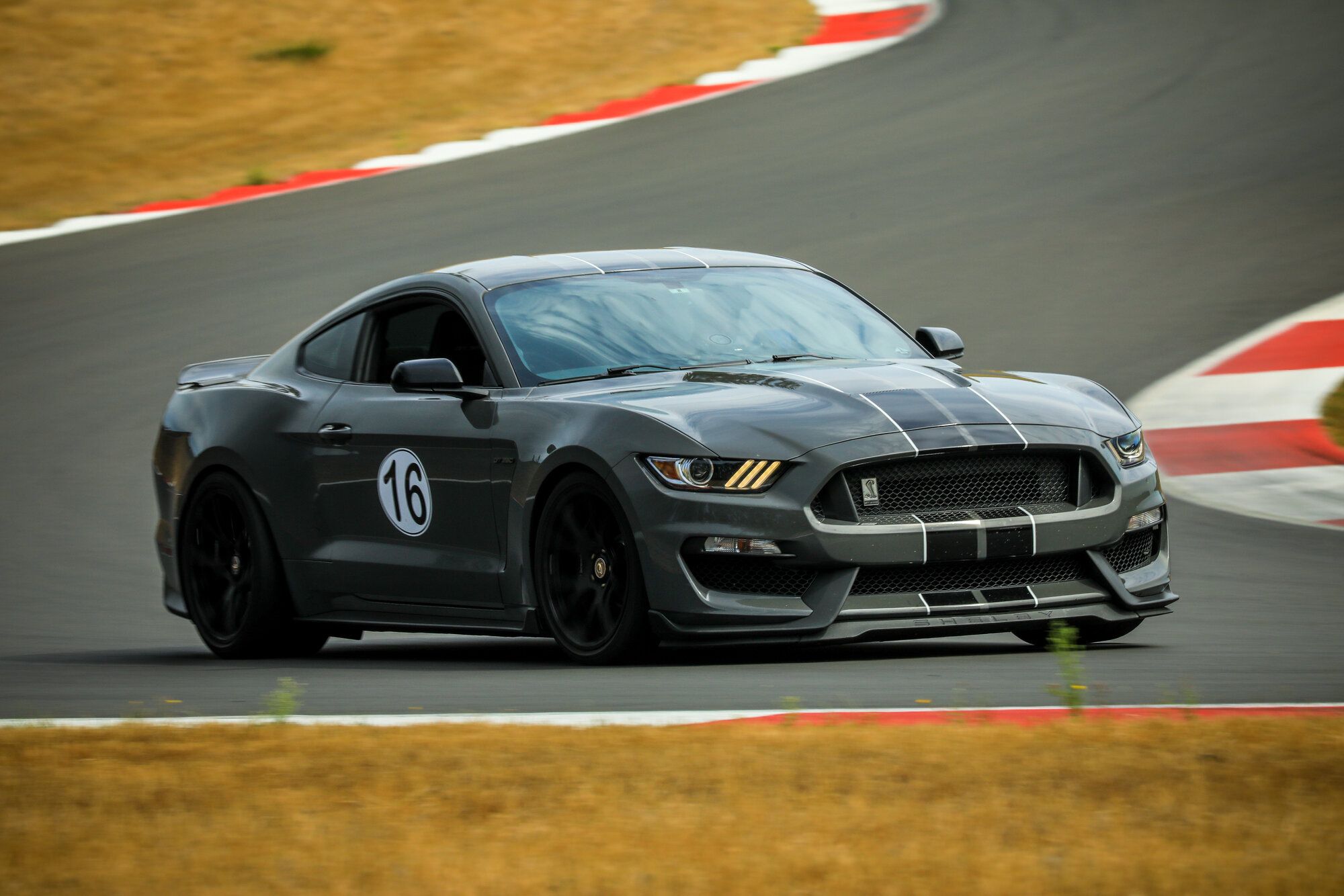 2018 Mustang
GT350 HPDE/Track -  (Leadfoot)