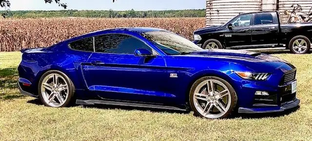 2015 Mustang
GT HPDE/Track -  (Money Gone!)