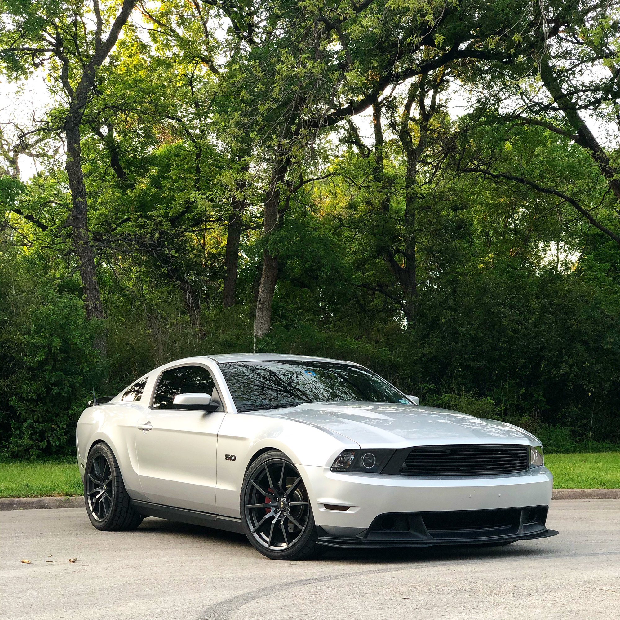 2012 Mustang
GT_50L  (Stealth_Coyote5.0)