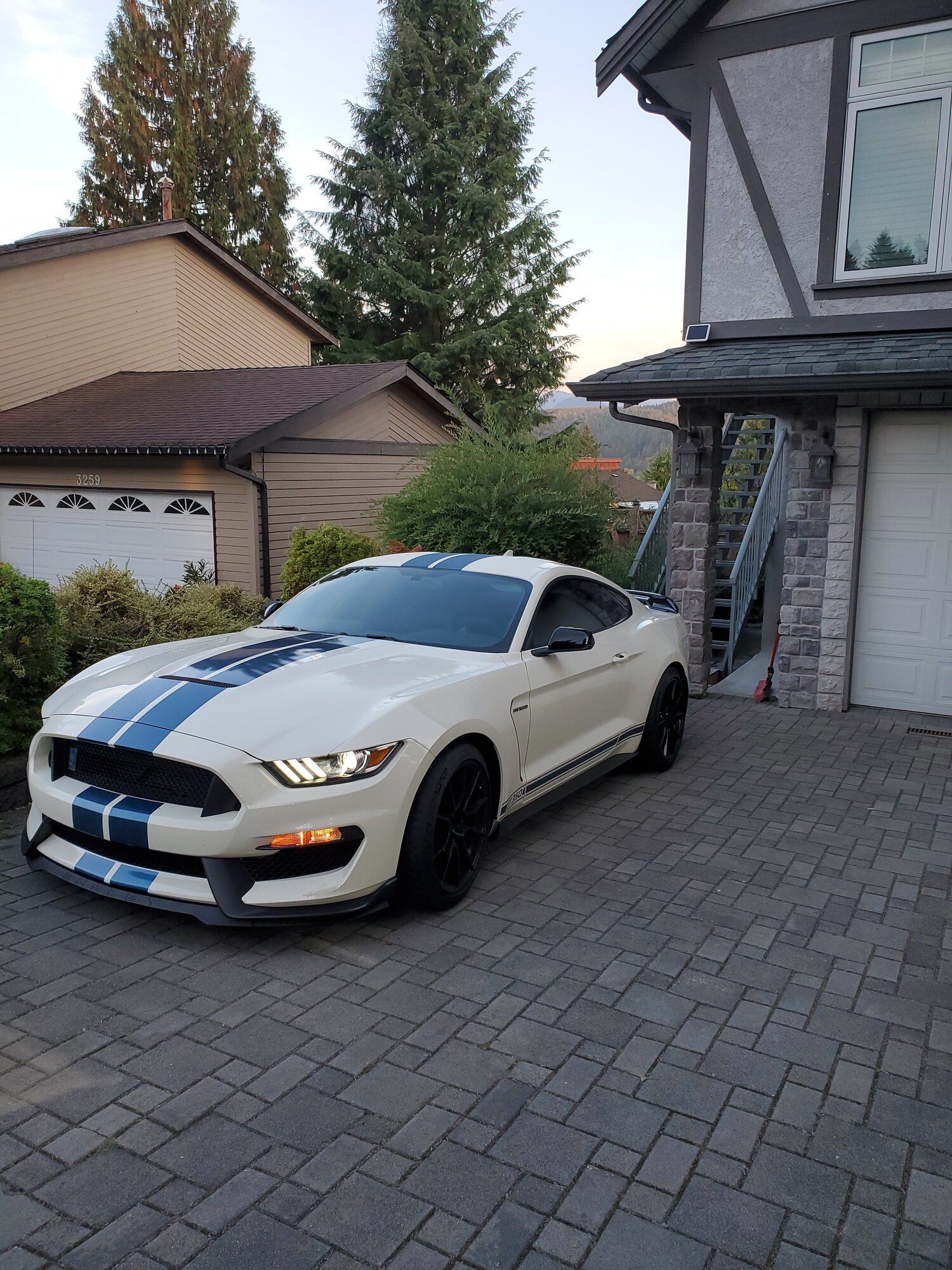 2020 Mustang
GT350  (The best and worst decision of my life)