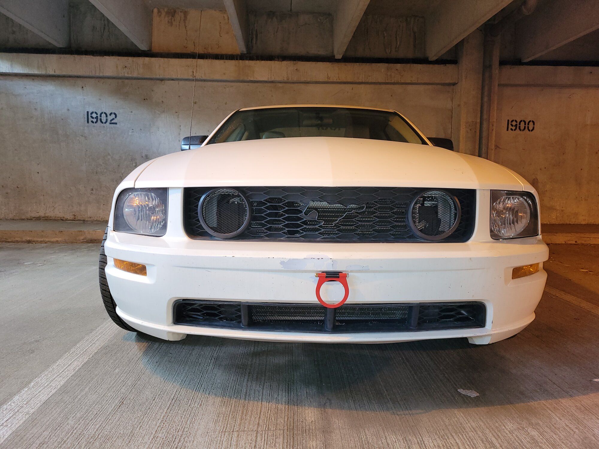2009 Mustang
GT_46L  (Vanilla sleeper)
